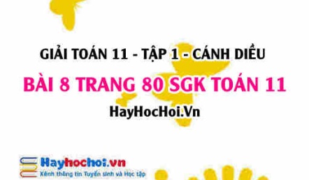 Giải bài 8 trang 80 Toán 11 tập 1 SGK Cánh Diều